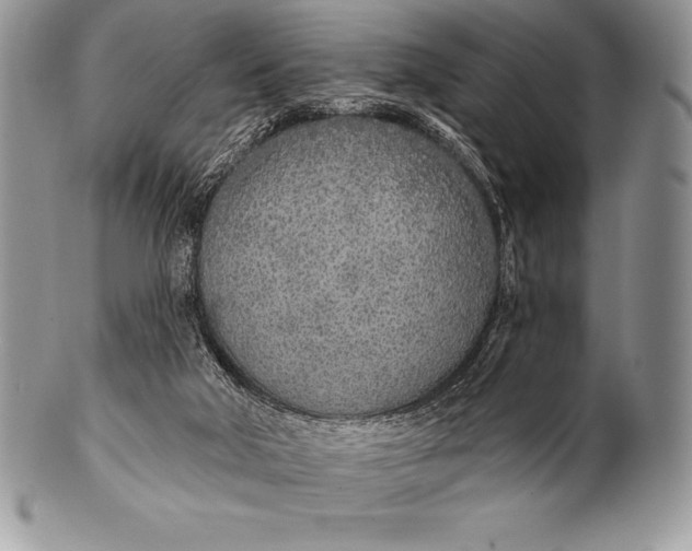 X0000100410018200806201809