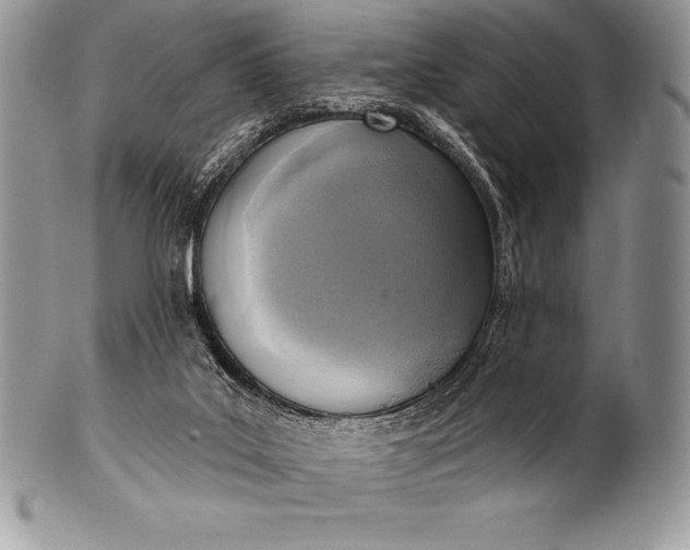 X0000100410019200806201809