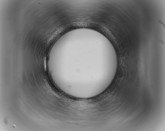 X0000100410020200806201809