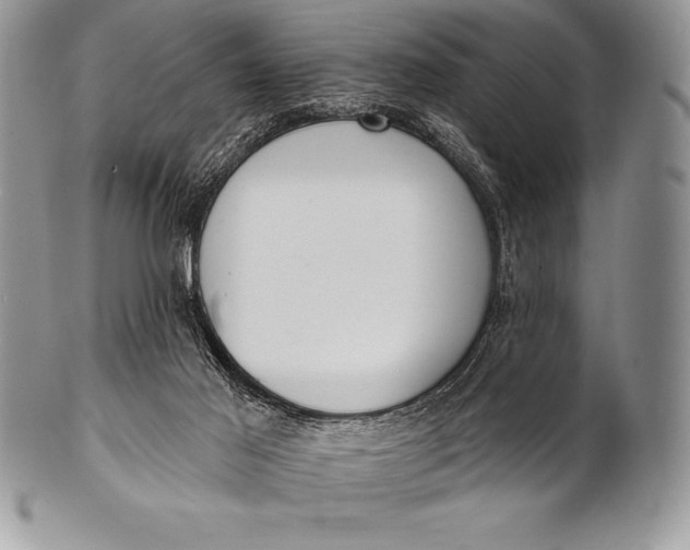 X0000100410021200806201809