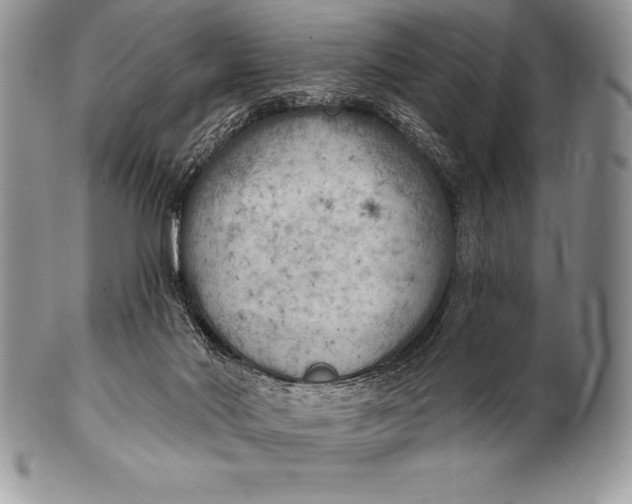 X0000100410022200806201809