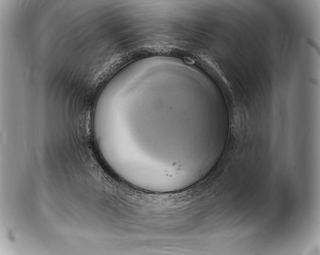 X0000100410023200806201809