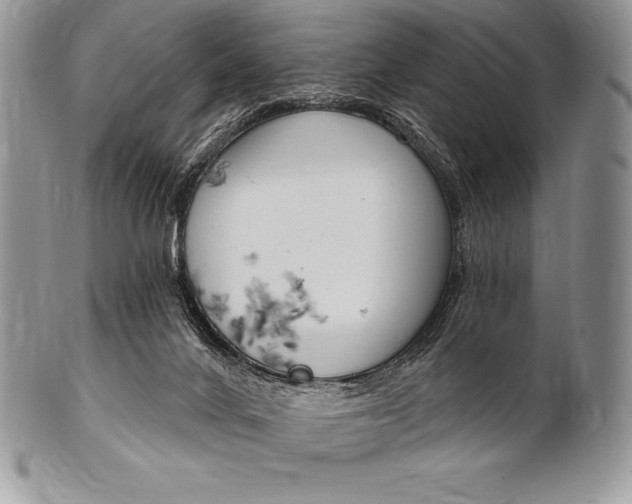 X0000100410024200806201809