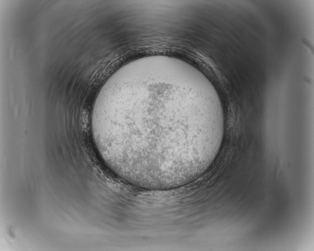 X0000100410025200806201809