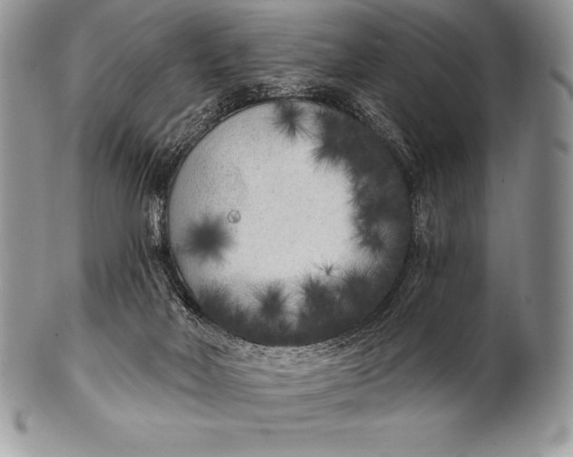 X0000100410026200806201809