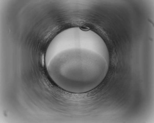 X0000100410027200806201809