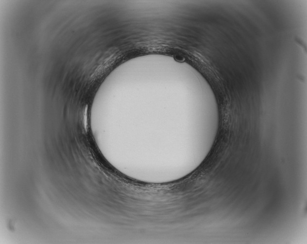 X0000100410028200806201809