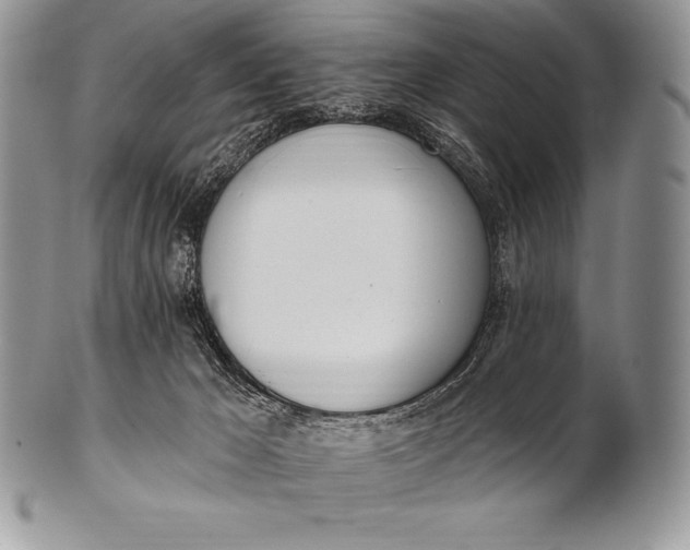 X0000100410029200806201809