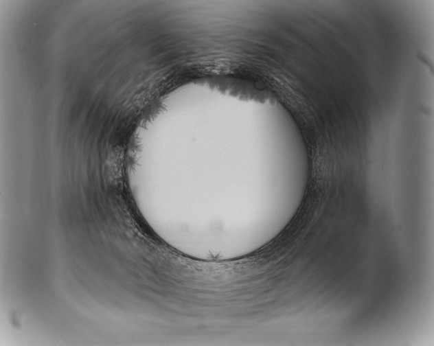 X0000100410030200806201809