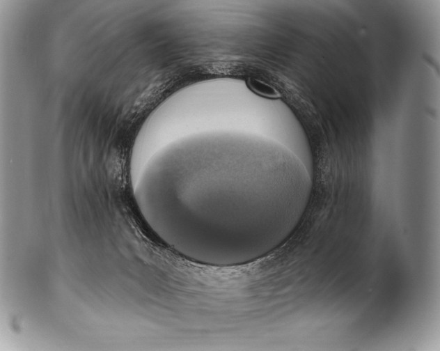 X0000100410031200806201809