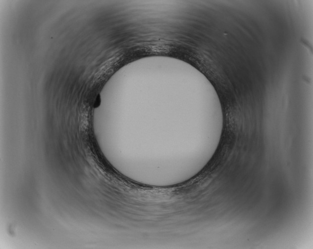 X0000100410032200806201809