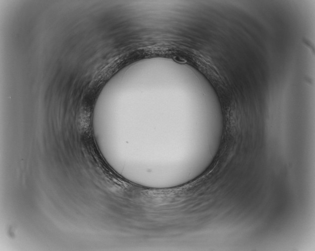 X0000100410033200806201809