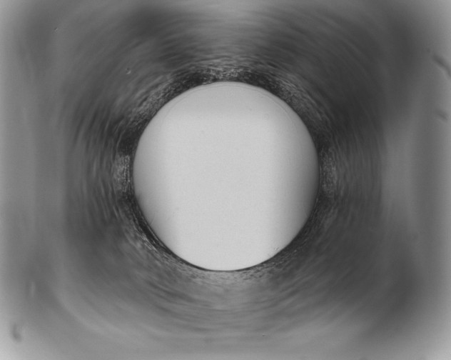 X0000100410034200806201809