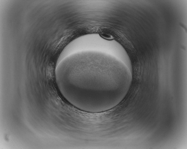 X0000100410035200806201809