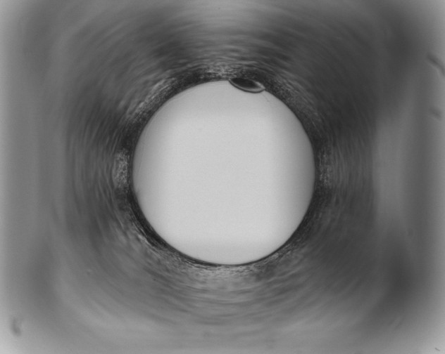 X0000100410036200806201809