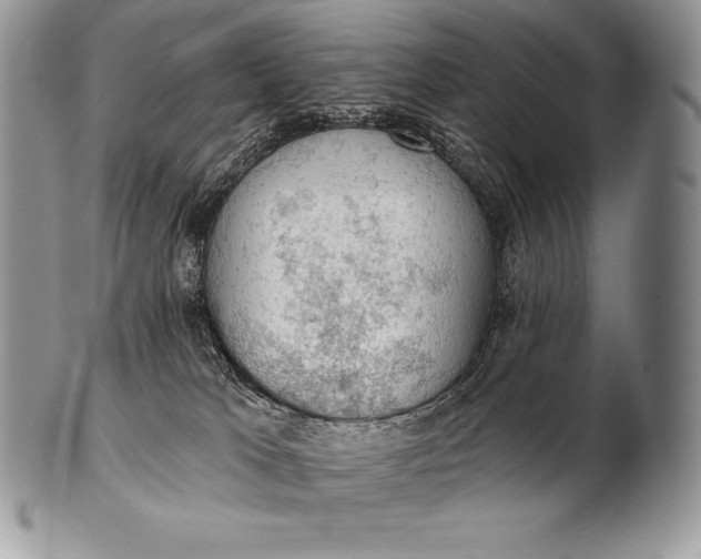 X0000100410037200806201809