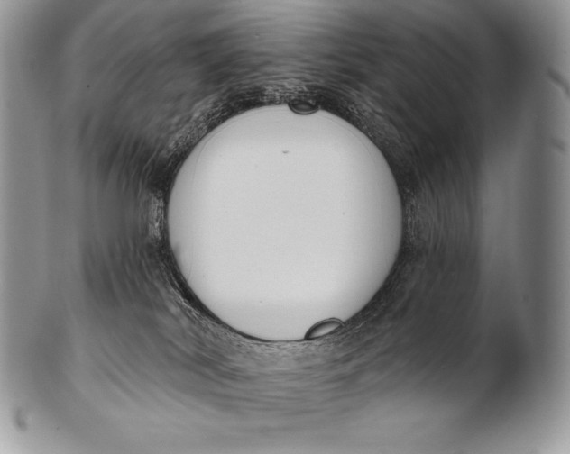 X0000100410038200806201809