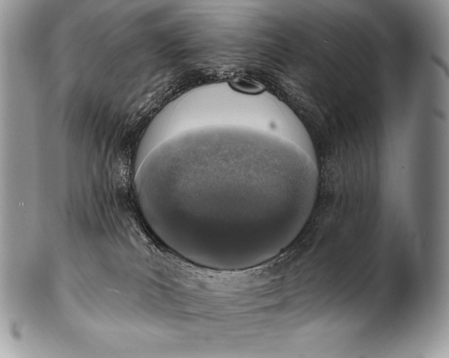 X0000100410039200806201809