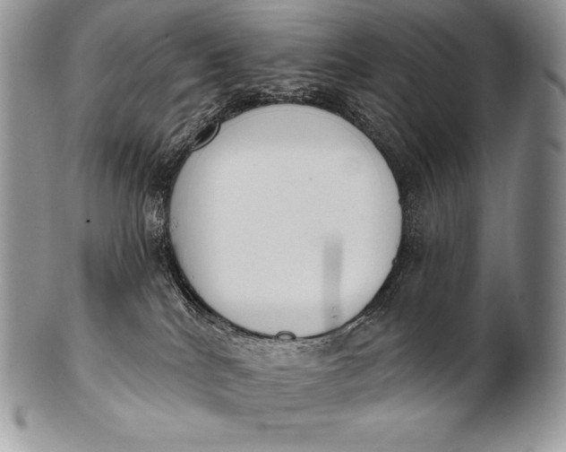 X0000100410040200806201809