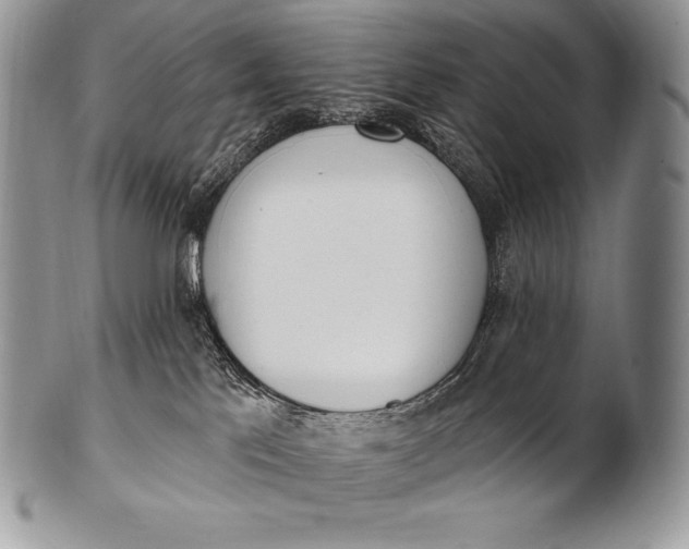 X0000100410041200806201809