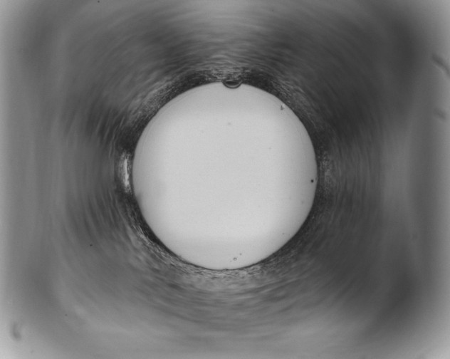 X0000100410042200806201809