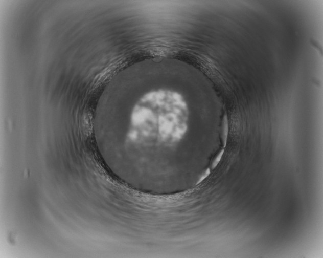 X0000100410043200806201809