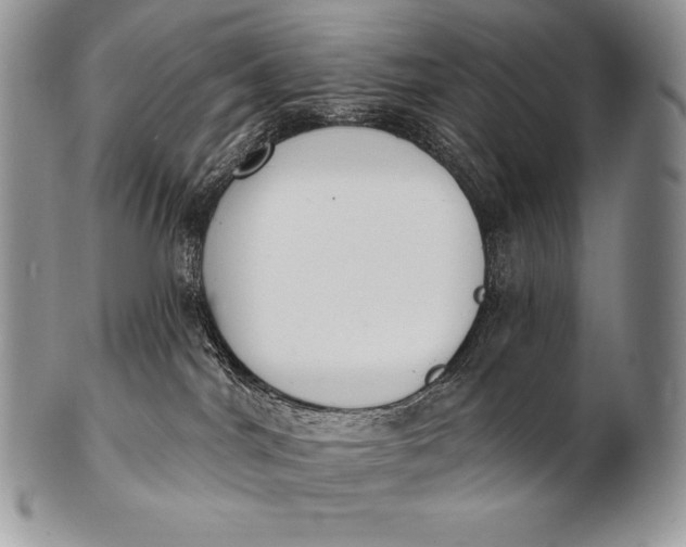 X0000100410044200806201809