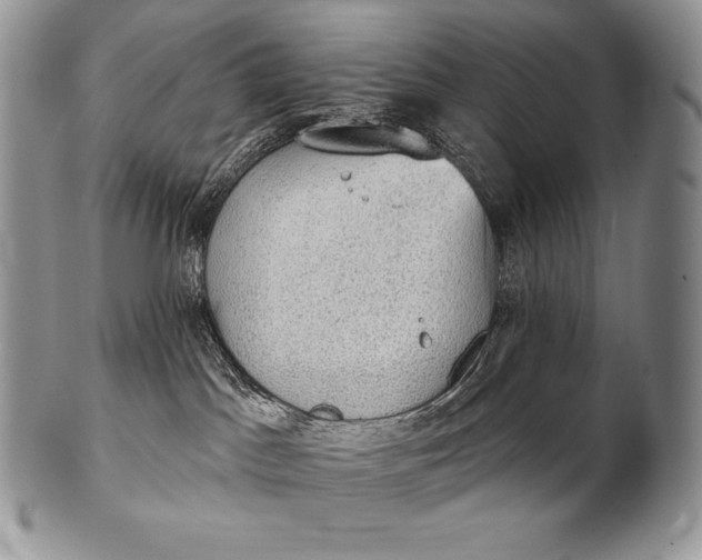 X0000100410045200806201809