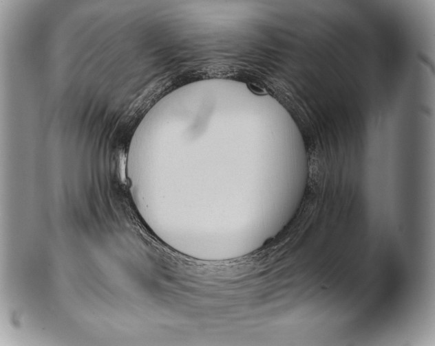 X0000100410046200806201809