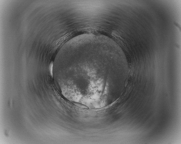 X0000100410047200806201809