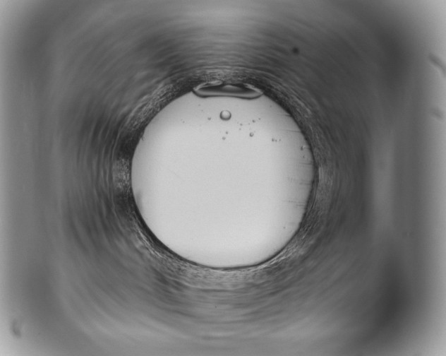 X0000100410048200806201809