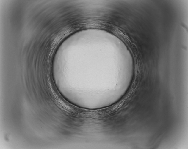 X0000100410049200806201808