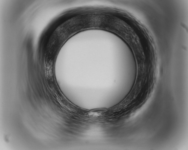 X0000100410050200806201808