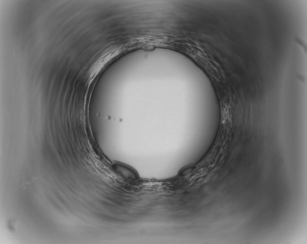 X0000100410052200806201808