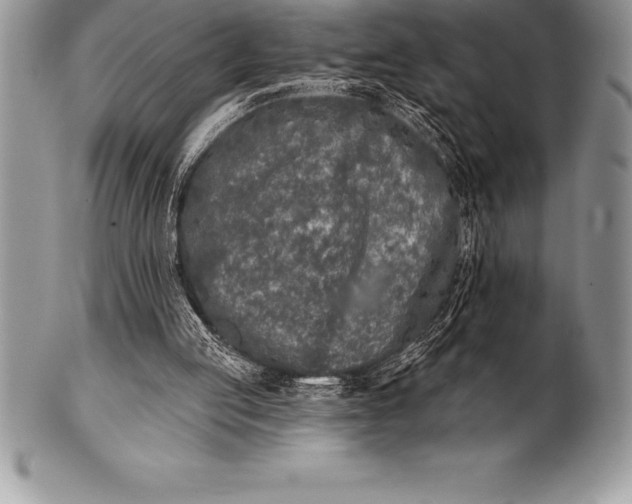 X0000100410053200806201808