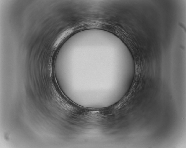 X0000100410054200806201808