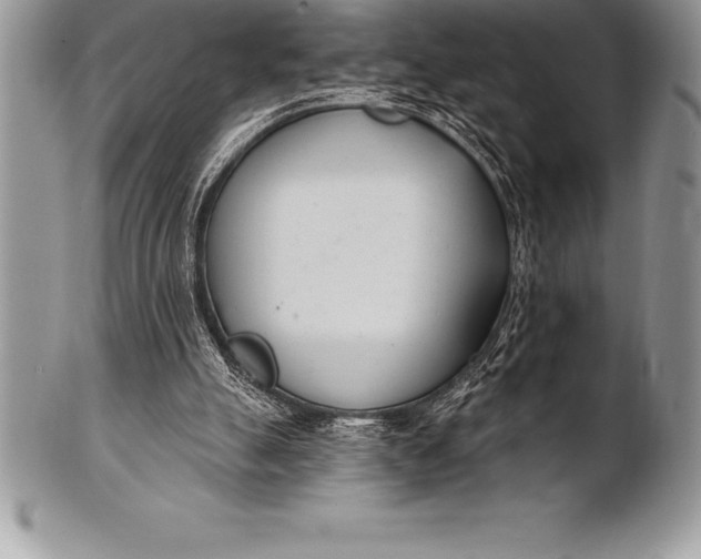 X0000100410055200806201808