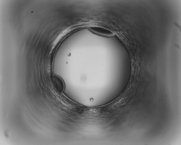 X0000100410056200806201808