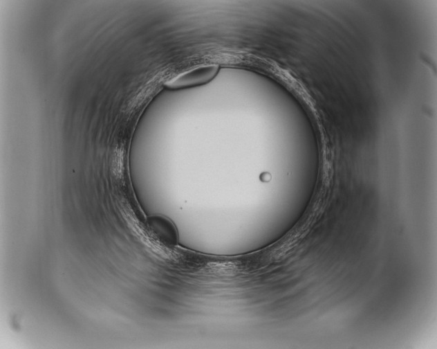 X0000100410057200806201808