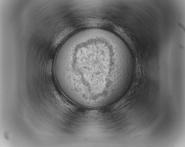 X0000100410058200806201808