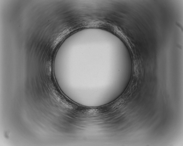 X0000100410059200806201808