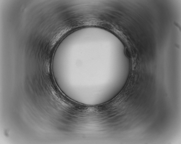 X0000100410060200806201808