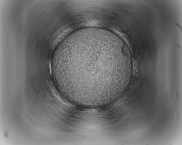 X0000100410061200806201808