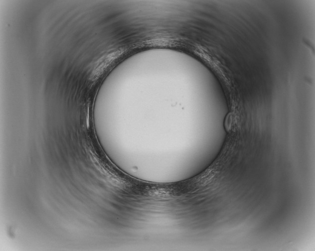 X0000100410062200806201808