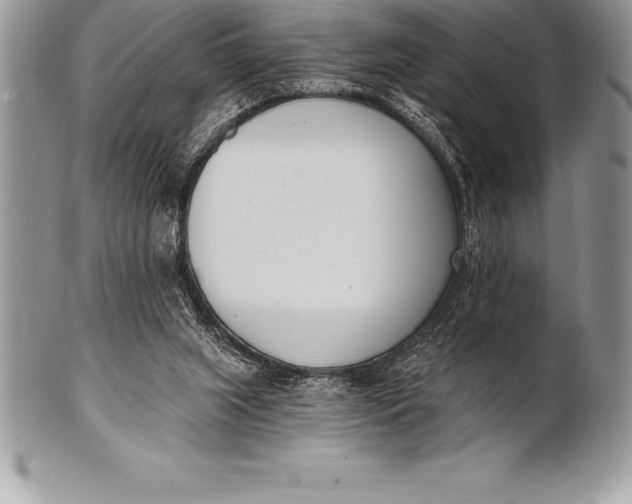 X0000100410063200806201808