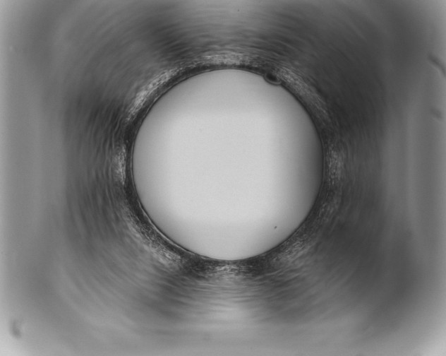 X0000100410064200806201808