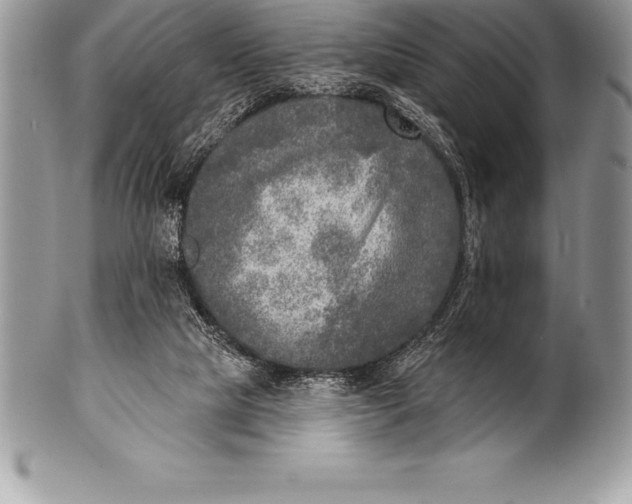 X0000100410065200806201808