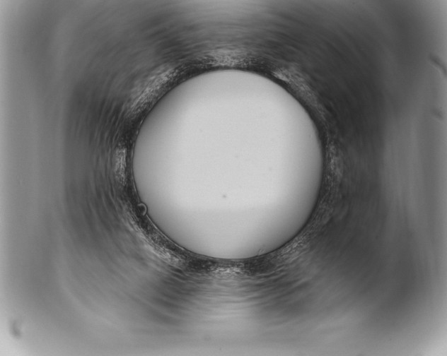 X0000100410066200806201808