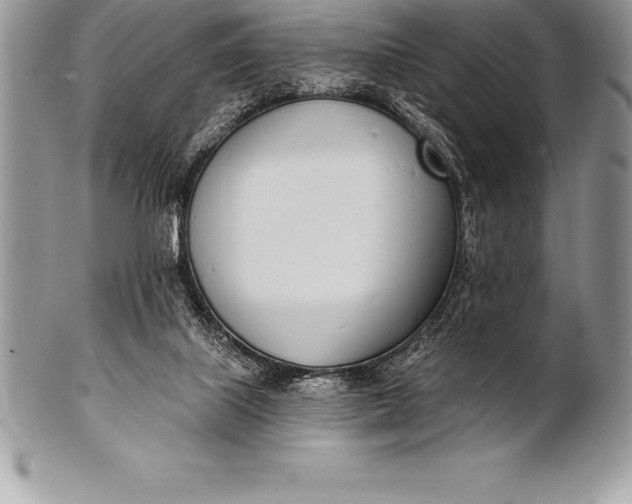 X0000100410067200806201808