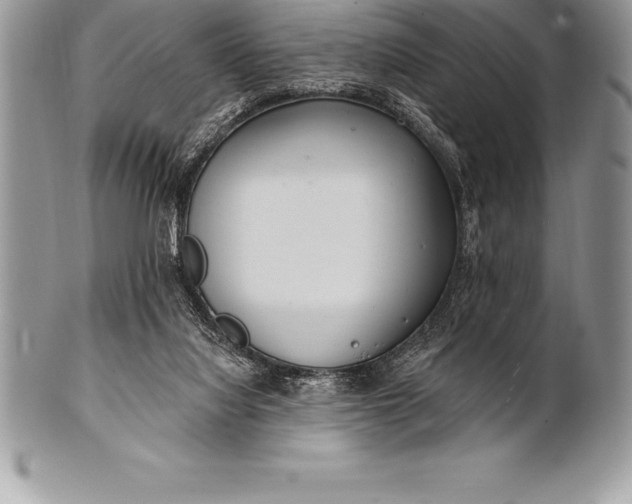 X0000100410068200806201808